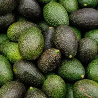 Large Image