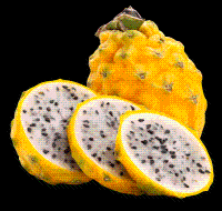Large Image